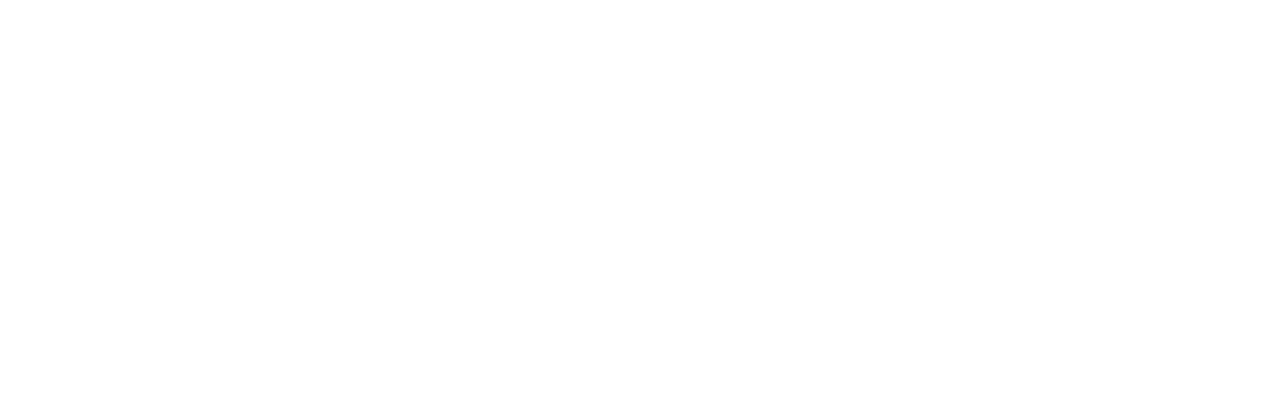 Pleraxis Audio